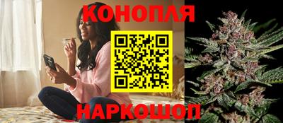 Альфа ПВП Белореченск