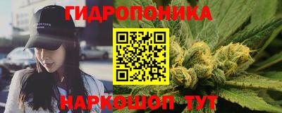 эйфоретик Бердск