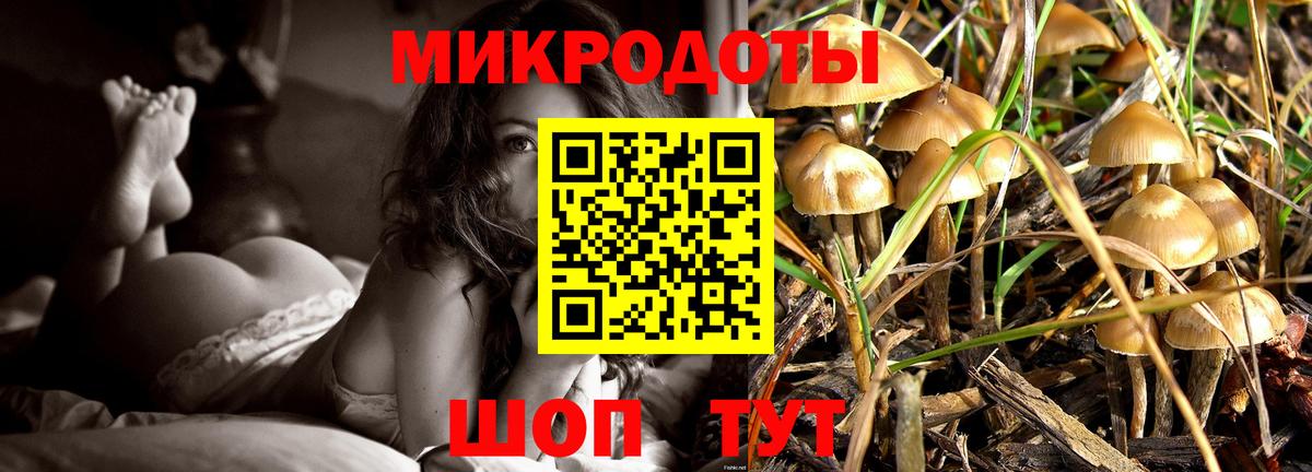 Галлюциногенные грибы Psilocybe  Псилоцибиновые грибы ЛСД  Верхняя Пышма  Вход с VPN 